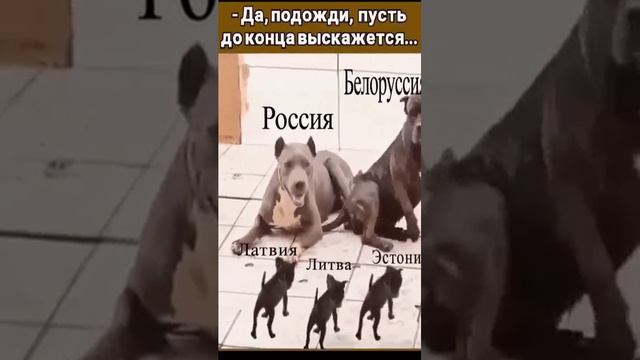 прибалты