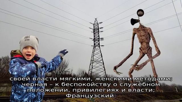 Белая крыса в клетке смотреть онлайн