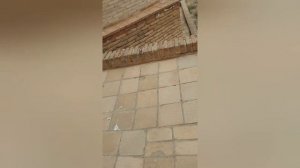 Поездка по святым местам Туркестана. 2021. Часть3