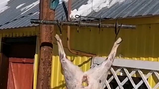 Одна хитрость и  тушка барана ровно пополам. Жизнь в деревне Каменка.