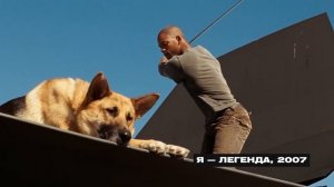 ТОП 21 ЛУЧШИХ ФИЛЬМОВ ПРО СОБАК #новинкикино