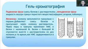 Методы очистки и разделения белка
