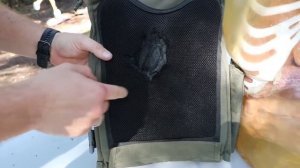 Ломает ли пуля ребра сквозь бронежилет|Разрушительное ранчо|Rus|