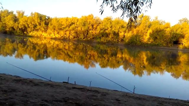 Знаменск, Ахтуба. Золотая осень. смотреть онлайн
