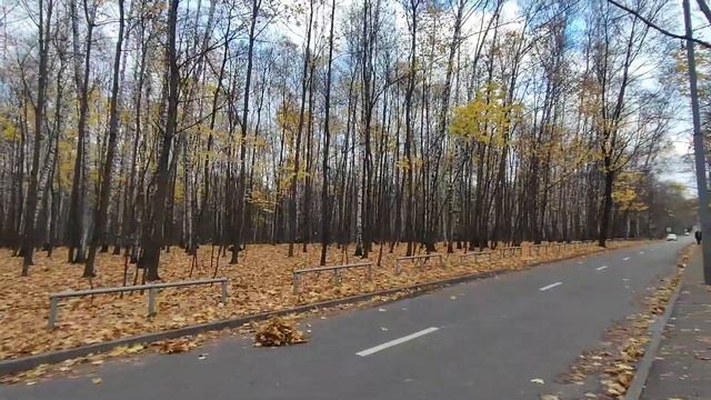 Защита от паники - музыка и лес: «Иже Херувимы» излож. византийс. р-в №20 ИС Туманов #молитва #пени смотреть онлайн