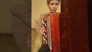 Страдания на баяне