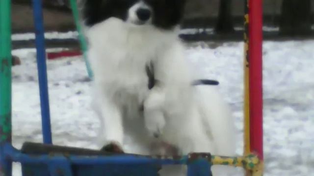 Фото 1 часть смотреть онлайн