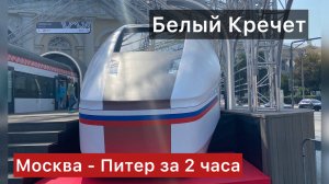 Поезд «Белый Кречет» до Питера за 2 часа
