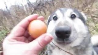 ТЕСТОВЫЙ СТРИМ / ПРОСТО ОБЩАЕМСЯ И ОБСУЖДАЕМ НОВУЮ ПЛОЩАДКУ ДЛЯ СТРИМИНГА 