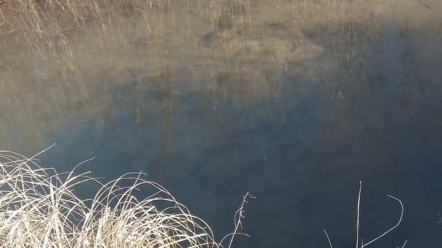 Крещенский сочельник. Приметы и традиции на 18 января. Что нельзя делать и что можно.