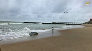 Круг любви - Виктор Могилатов (Новинка 2021)