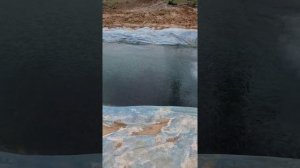 бюджетный вариант пруда для форели