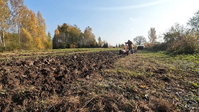 При помощи какой-то матери и мотоблока МТЗ-09Н запахали огород. смотреть онлайн