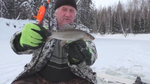 Зимняя рыбалка 2020. Ловим хариуса в глухозимье на мормышку. Республика Коми.