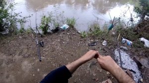 отличный клёв на Усача, река Сунжа