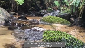 У двоих одновременно приняла... Истории любви и измен. Любовные истории. #историиизмен