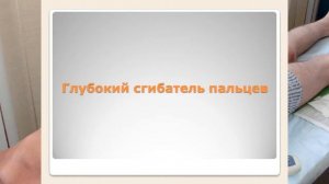 Презентация ЭМГ-стимуляционного контроля введения препаратов в моторную точку