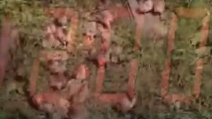 ВРЕД от МОБИЛЬНЫХ ТЕЛЕФОН1