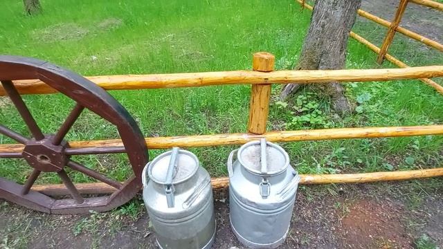 Партизанская деревня (1)