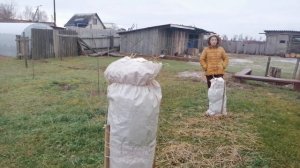 РЕЖЕМ СЕНО ДЛЯ КРОЛИКОВ///КРОЛИКИ//КРОЛИКОВОДСТВО???