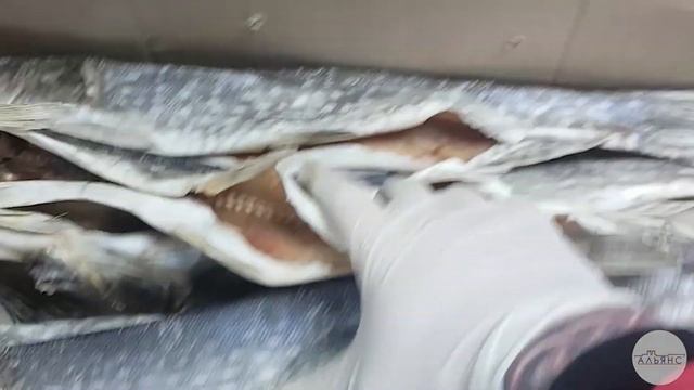 Щука вяленая смотреть онлайн