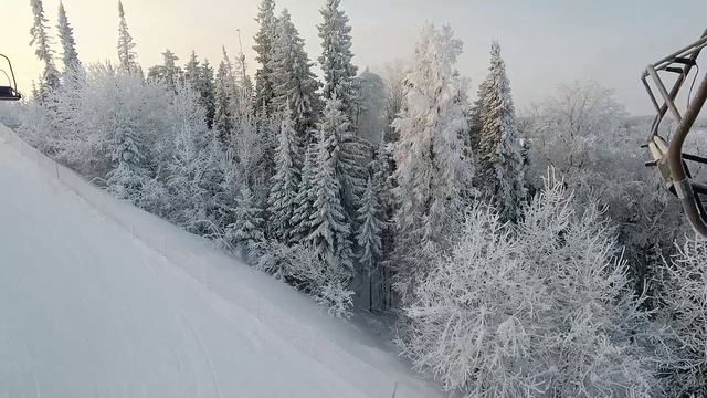 Нечкино_31.12.2022