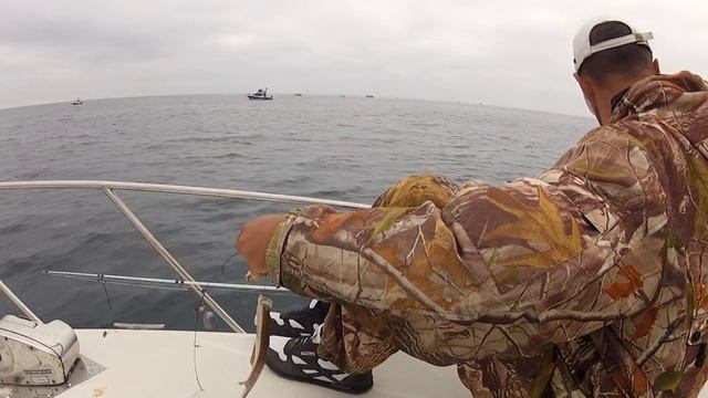 Рыбалка на донку. Ловля камбалы на спиннинг с катера!