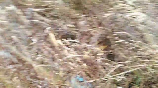 Раскопали 30 советских противогазов гп-5 смотреть онлайн