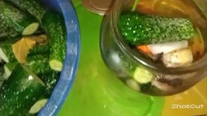 Огурцы с шампиньонами! ? Безумно вкусное овощное ассорти!