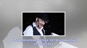 Белку-летягу обнаружили в новой москве