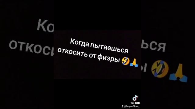 пёс-смешные моменты???