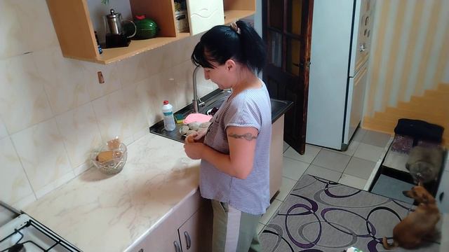 Сидите тихо!!! Привезу вам курей с Каборды!!! Да-да-да это Кавказ🧔💃 смотреть онлайн