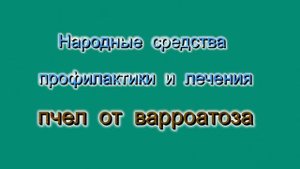 Когда и сколько  воды необходимо пчелам