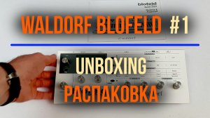 Aleks SHAGI 2023-0129 Waldorf Blofeld #01 - UNBOXING! (РАСПАКОВКА)