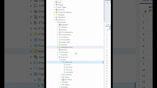 How to SHOW DATATYPE In Columns postgres