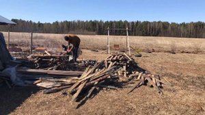 Субботник на участке | Распилка дров | Дровенник по дешману #Дрова #Дровенник # ИЖС