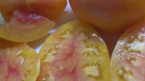Томат Оранжевый орангутан - вкуснейший биколор! Огромные красивые плоды не оставят вас равнодушными