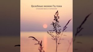 Горный ветер