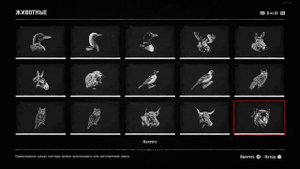 Справочник животные Red Dead Redemption 2