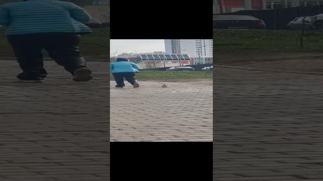 Женщины с маленькой собачкой, часть первая.