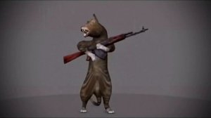 танцующий котик