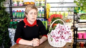 Как сделать высокие грядки своими руками ? Советы по устройству грядок