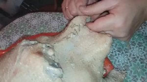 маринованный гусь запечённый в духовке