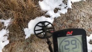 Как замёрзла земля, и как копается в лесу ☝️