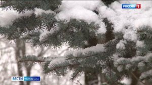 В Смоленскую область придет оттепель вместе с сильной метелью