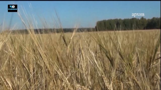 Две четверти часа от 18 октября 2019 интернет смотреть онлайн