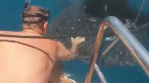 Hayman Island Queensland Australia