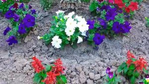 Город Турсунзаде  Шаҳри Турсунзода