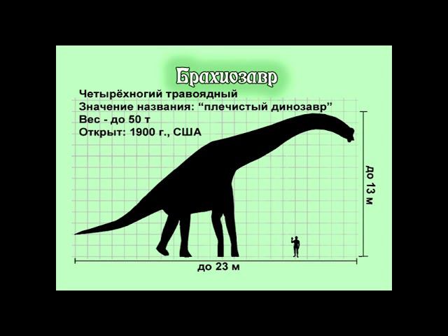 Занимательные уроки с "Лучиком света." Энциклопедия динозавров. Кто такой брахиозавр?