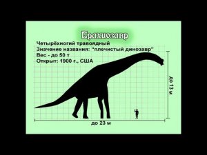Занимательные уроки с "Лучиком света." Энциклопедия динозавров. Кто такой брахиозавр?
